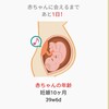 39w6d  予定日まであと1日