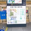 『白身魚イラスト展』の感想