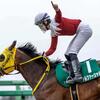 競馬初心者必見☆馬券予想🔥〜マーチS〜連勝中も重賞の壁は高い？