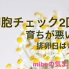 卵胞の育ちが悪い？育たない？排卵が前回の生理から3週間後。遅延排卵は危険なの？卵子の質は？多嚢胞性卵巣症候群