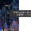 今年も年末に夜の御堂筋を散策してきました