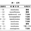 馬尾腫瘍について