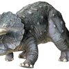 2024年8月10日、あるいはトリケラトプス