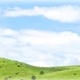 ついに途絶えた月イチ更新