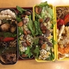 白ゴーヤ☆弁当