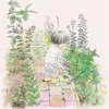 イラスト練習  息子を描く
