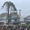 雨の　誕生日　