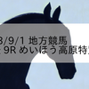 2023/9/1 地方競馬 笠松競馬 9R めいほう高原特別(A)
