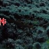 楽山の反キリスト