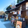 味噌カツ定食と真清田神社