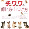 小さな体に秘めた大きな魅力！チワワの全て