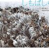 まだまだ寒いですね！写真集「しもばしら」の紹介です！
