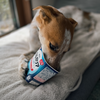 明治ブルガリアヨーグルトが大好きな鼻の利く犬。