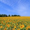 写真で振り返るこの夏の思い出 2017