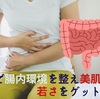 若さの9割は腸にあり！【腸活】の5つの効果と身につける習慣！