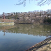 湖沼釣り日記（令和2年4月➁・大槻公園釣行）