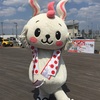 市内のお祭りやイベントに参加し、別府のPR活動をし、宣伝部長として忙しい日々を過ごす「べっぴょん」！