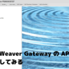 SAP NetWeaver Gateway の API を ES5 で試してみる：Postman & CData SAP Netweaver Gateway 