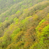 大倉尾根〜塔ノ岳〜三ノ塔〜ヤビツ峠