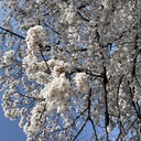 日常の記録