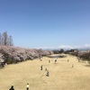 お花見はやっぱり、富山県中央植物園さくらまつりで