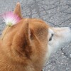 明日から始まるキラキラ展