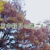 天中殺月の過ごし方　起こったことも　2023年12月6日追記✎