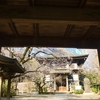 茨城の桜  長禅寺