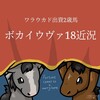 ワラウカド出資2歳馬ボカイウヴァ18近況（2020/01/24）