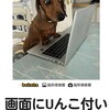 “ところてん”が食べたい～(・・;)