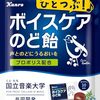 歌なら飛べるかも～TORIAへの道⑨