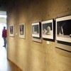 『How are you PHOTOGRAPHY？』 at ギャラリーマロニエ 4F・5F