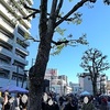 神奈川やまと古民具骨董市 へ行ってきました　🚴