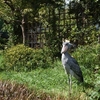 上野動物園