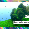 Best Albums of Japan 2019