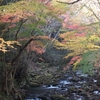 花園渓谷　紅葉