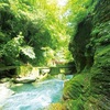【高知県 2024年版】 夏の絶景・風物詩・・・