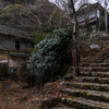 三重県の温泉スポット。かつては男はつらいよのロケ地にもなった湯の山温泉へ。廃ホテルとか廃旅館とかを訪ね、そばがきを食べに蕎麦 宿 菊井へ。