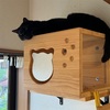 みんな元気ですよ！