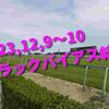 2023,12,9～10 トラックバイアス結果 (中山競馬場、阪神競馬場、中京競馬場)