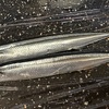 9月1日（日）新秋刀魚リベンジ、雲霧仁左衛門、麺屋の夢