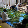 嘉吉祭の御食調製①