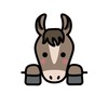 【追い切り注目馬】【京都2歳S】【栂尾特別】他　2024/11/23(土) 京都競馬　格段良化