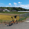 【まったり自転車】盗まれた9月後半 ～ 風邪侮るべからず　＜乗り日：2024年10月5日（土）＞