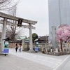 【国内旅行？】『恋は続くよどこまでも』ロケ地であり招き猫神社　浅草今戸神社に行ってきました！