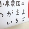 【日記】2016年3月30日(水)「武蔵小杉駅マルシェ」