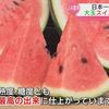 生産量が日本一の熊本でスイカの出荷始まる