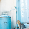 【写真旅行】ねこのしま（相島）にいった時の写真