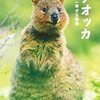 こんな動物おったんやぁ…♡