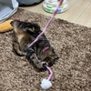 凄い格好してるwwww